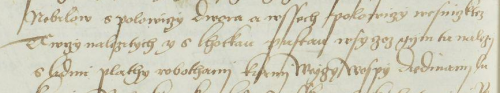 Zmínka o pusté vsi Lhotka v Deskách zemských z roku 1555